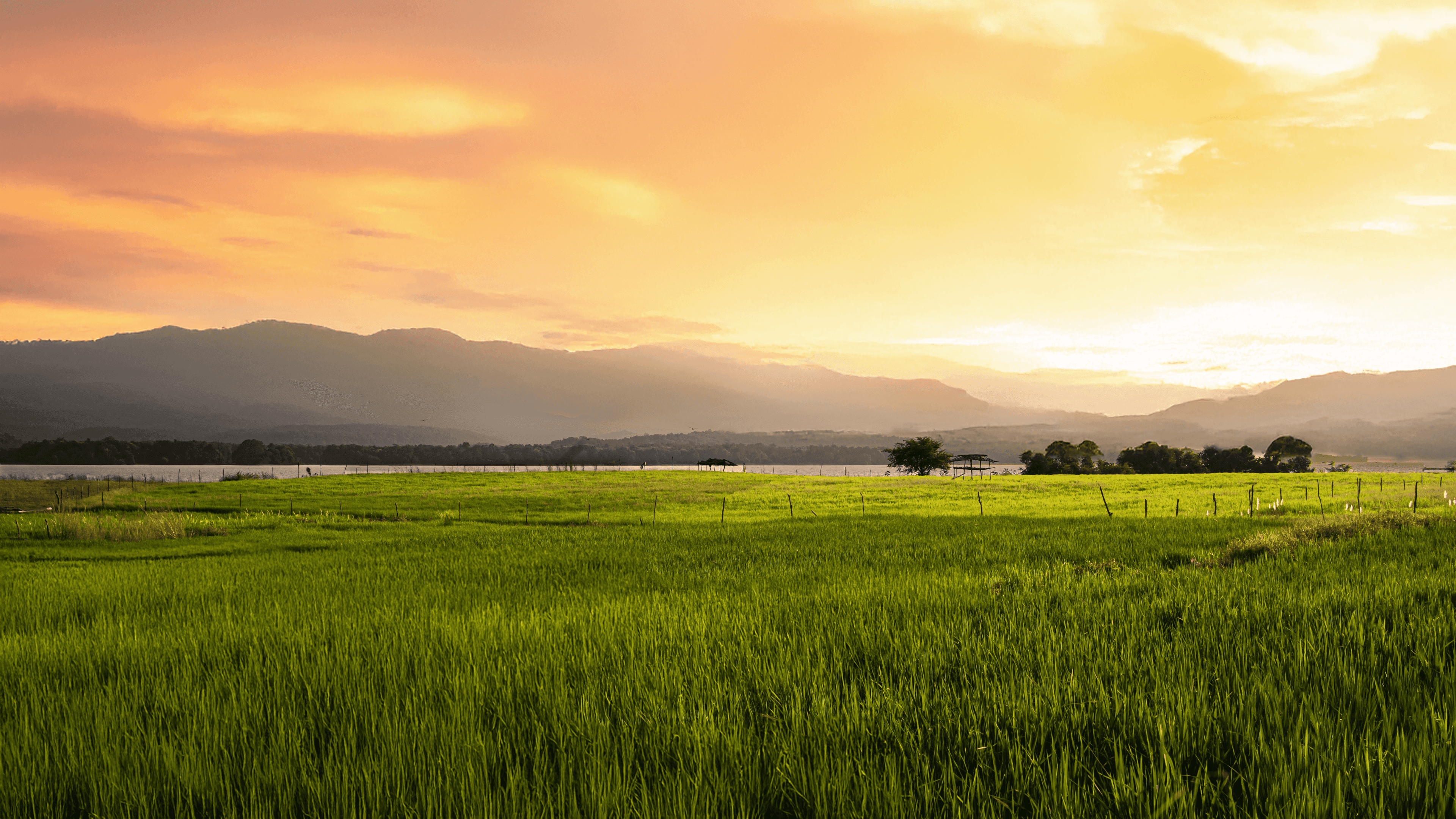 Luxury resort exterior