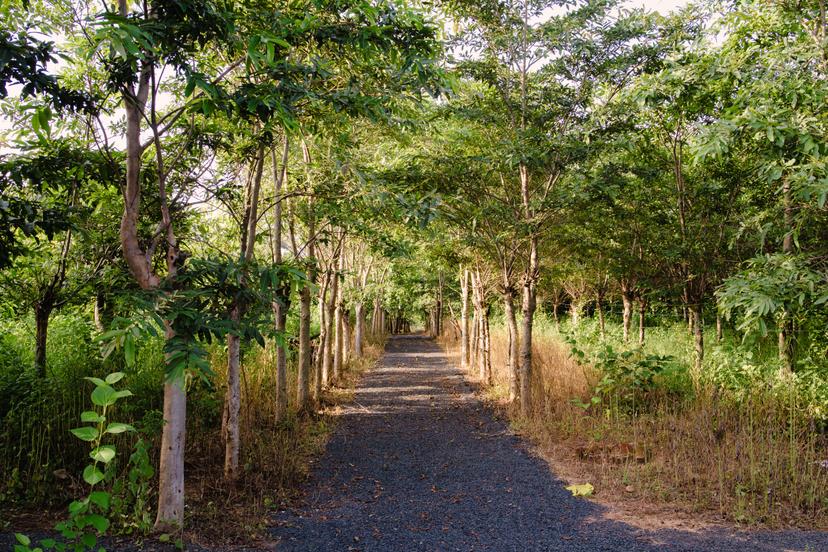 Conference room with view