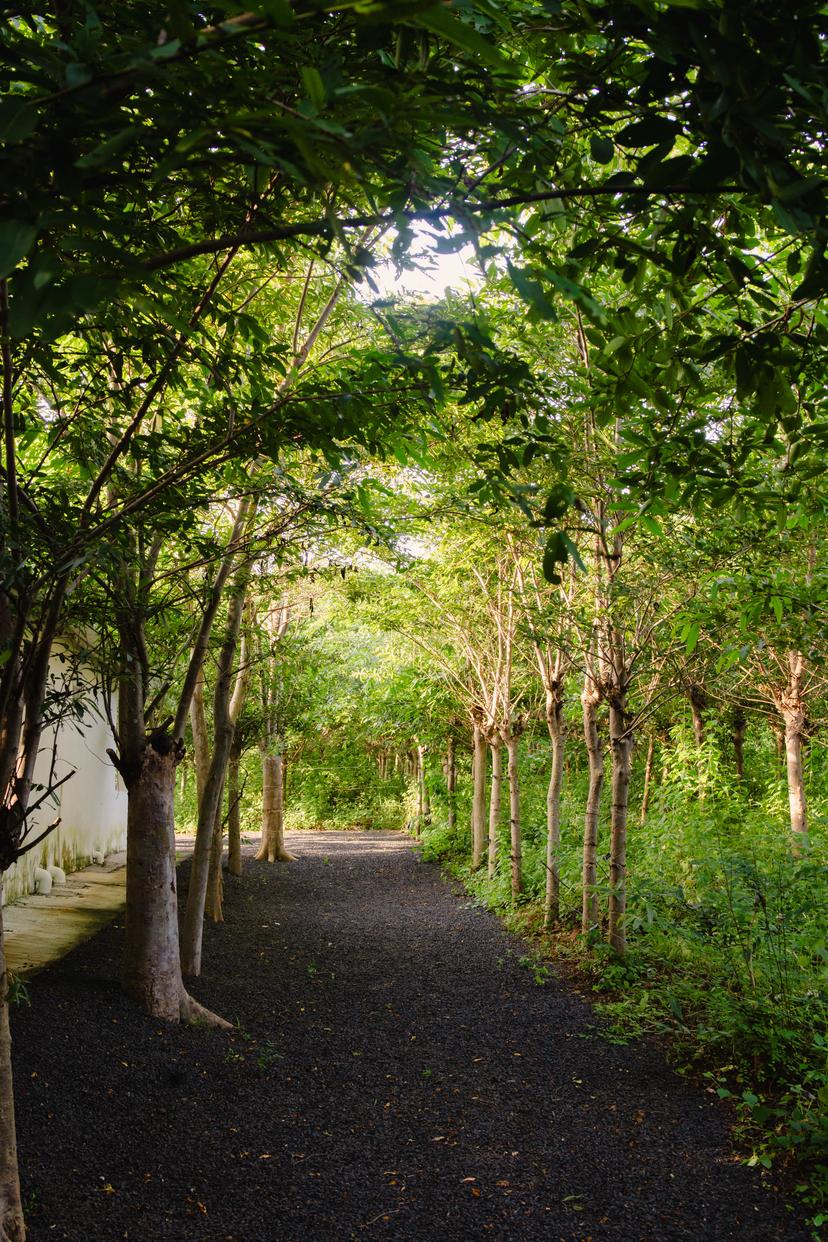 Conference room with white chairs