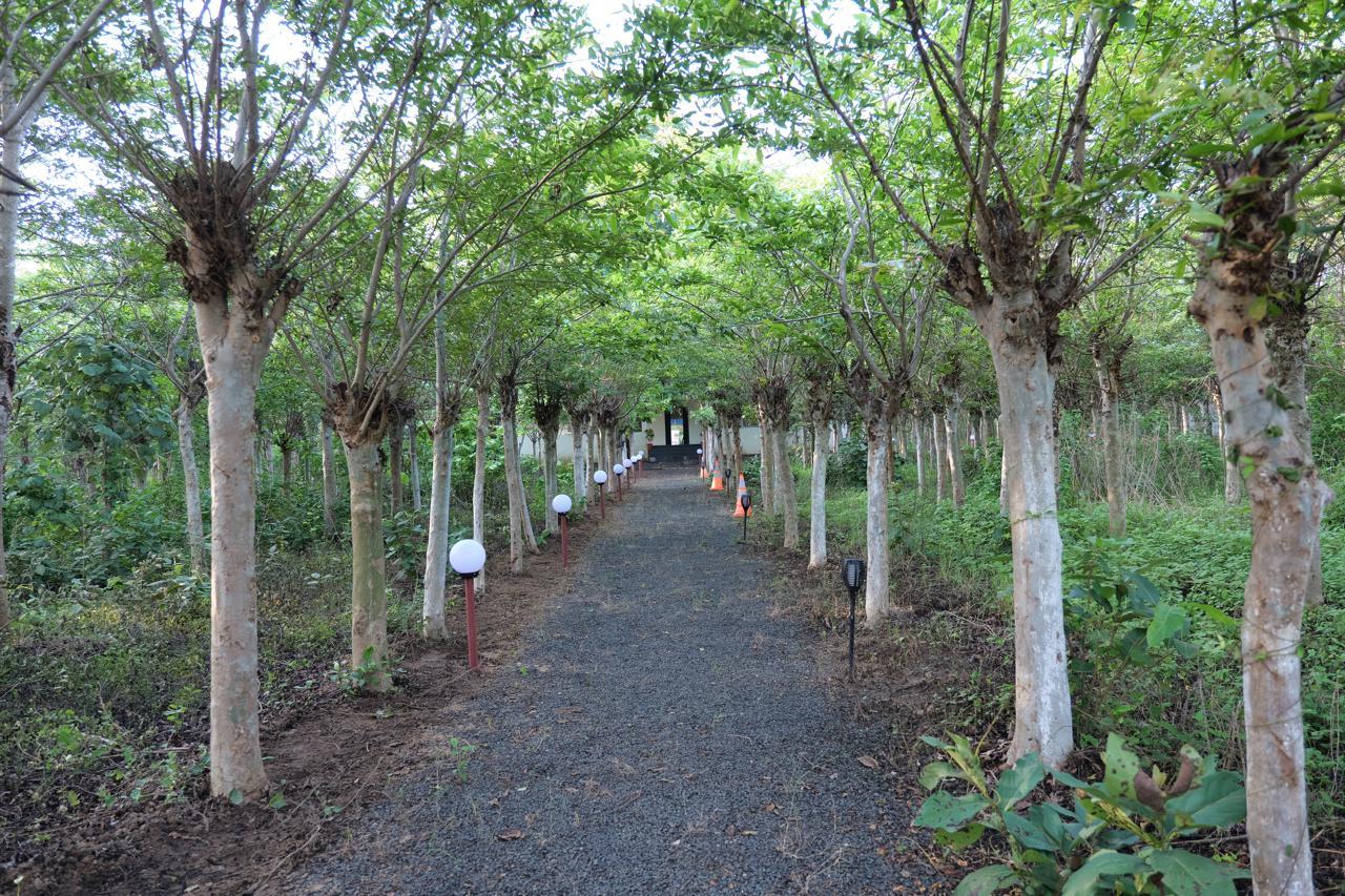 Silk Estates gallery frame 17