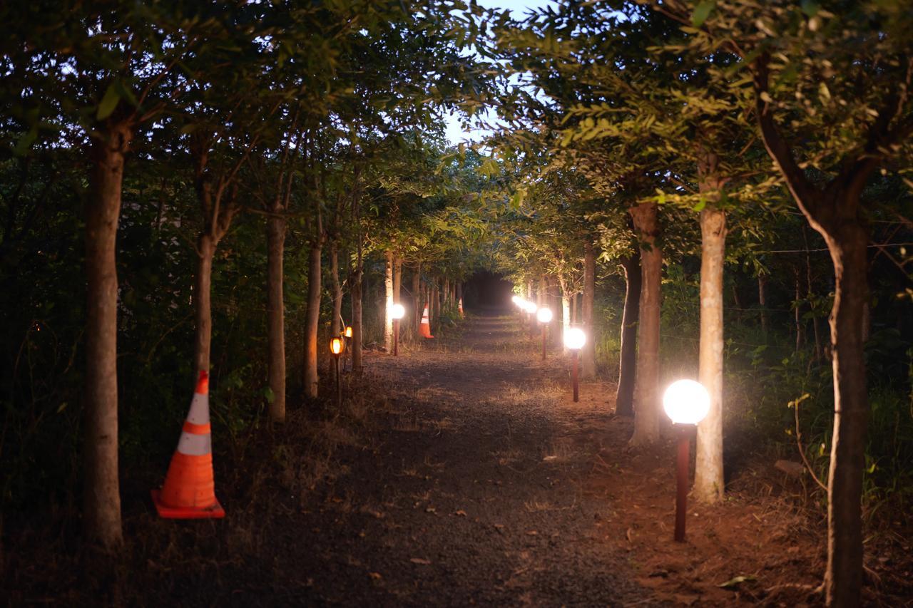 Silk Estates gallery frame 21