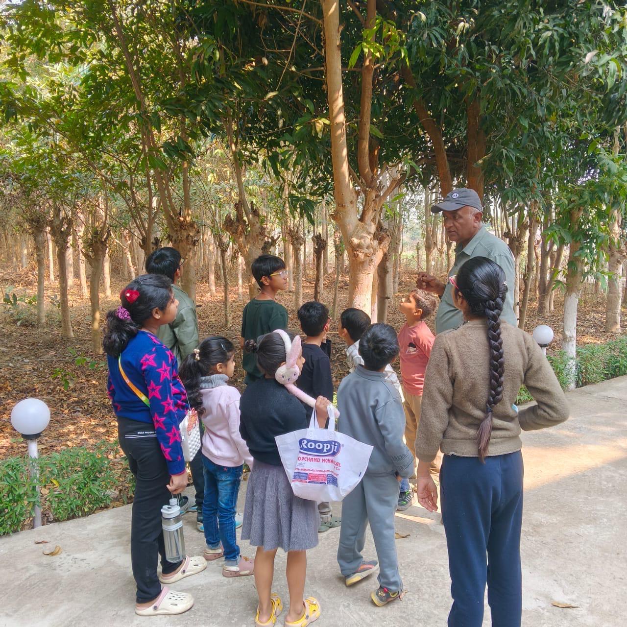 Silk Estates gallery frame 47