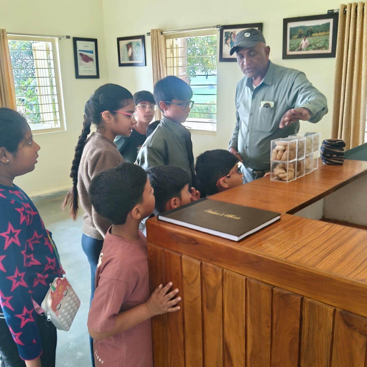 Silk Estates gallery frame 49